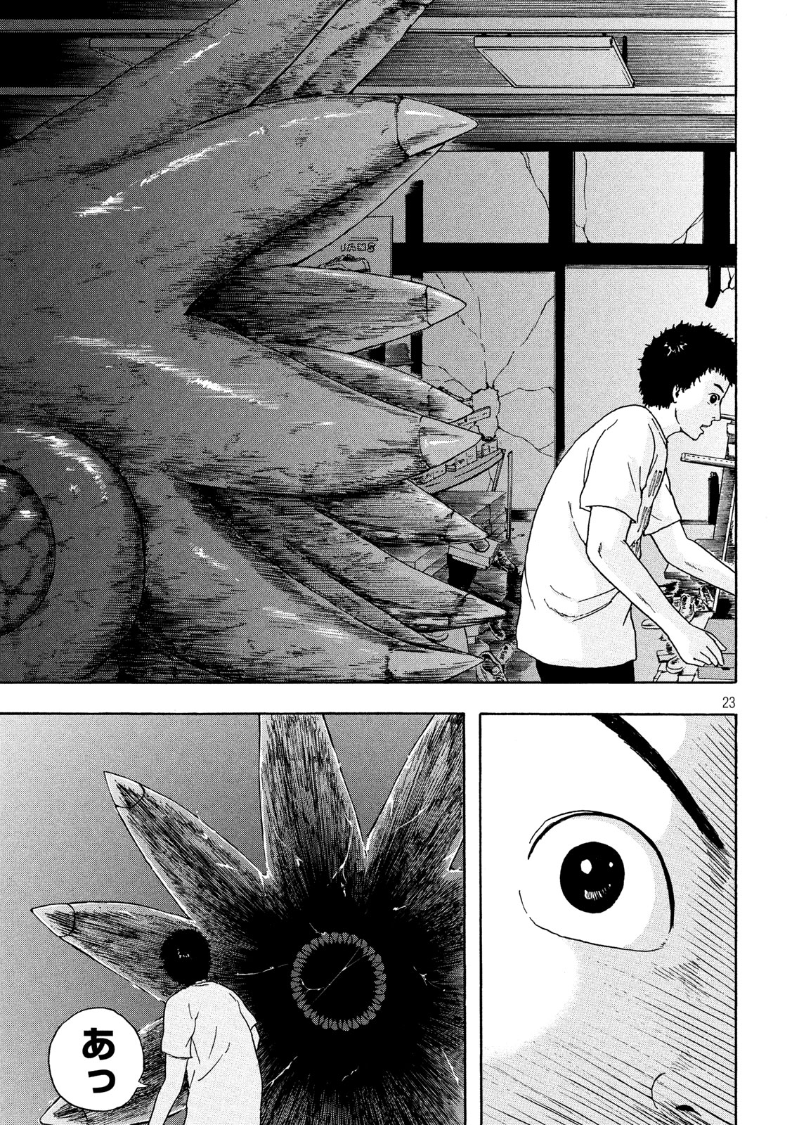 23