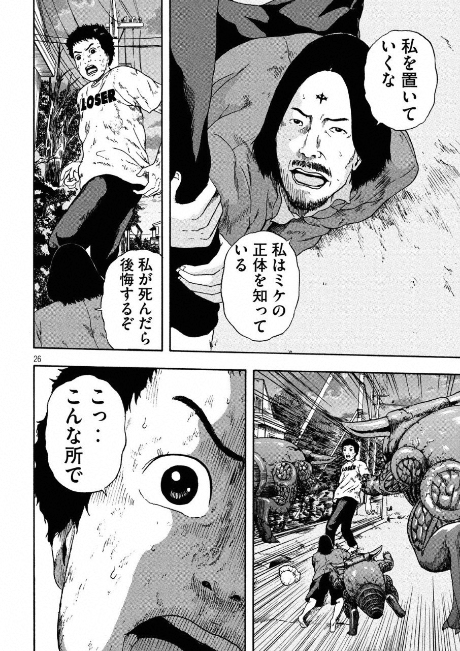 26