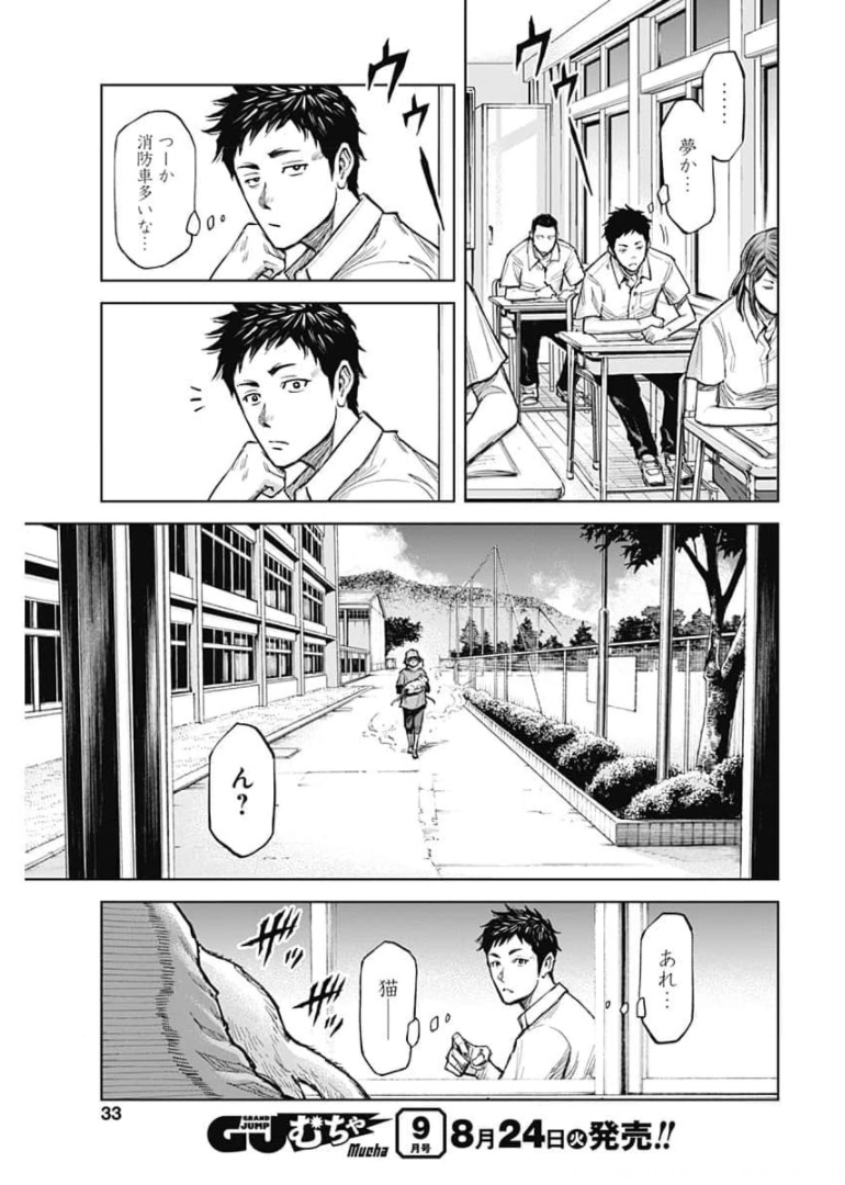 31