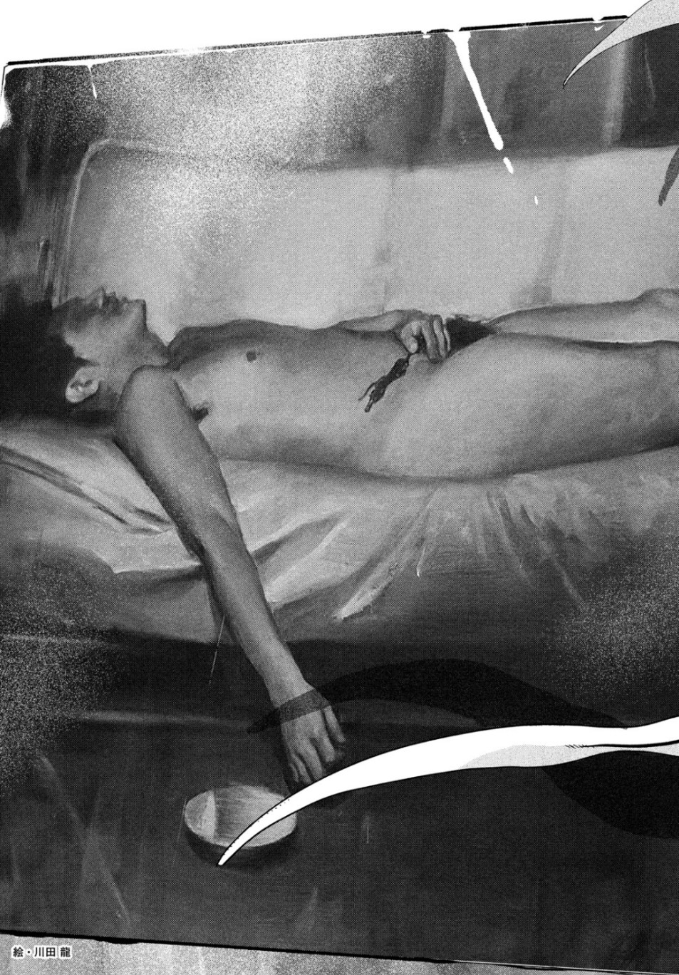 31