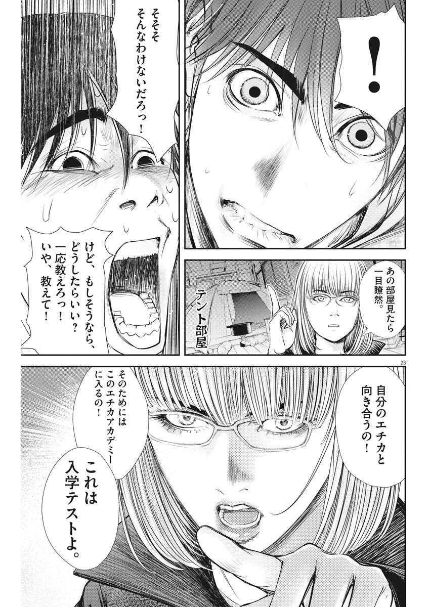 23