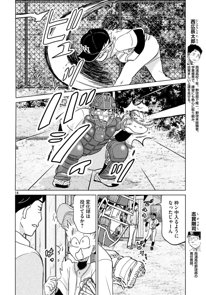 14
