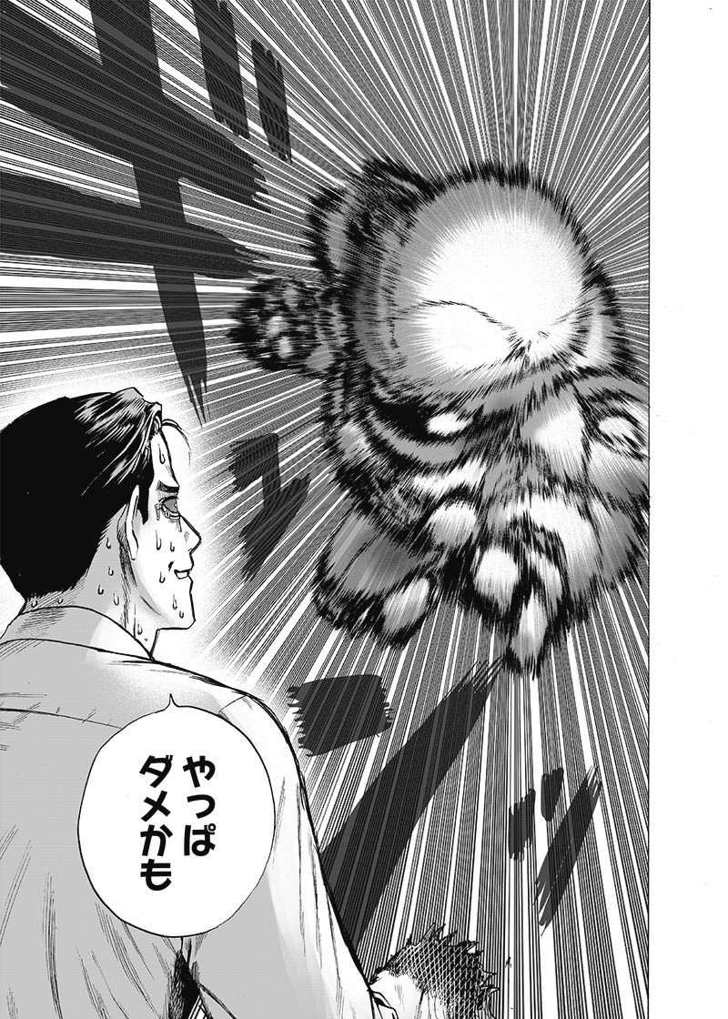 ワンパンマン - raw - 第161話 - https://jpee.aabb.to/JPEE/13464/czjl0juzpyc.png