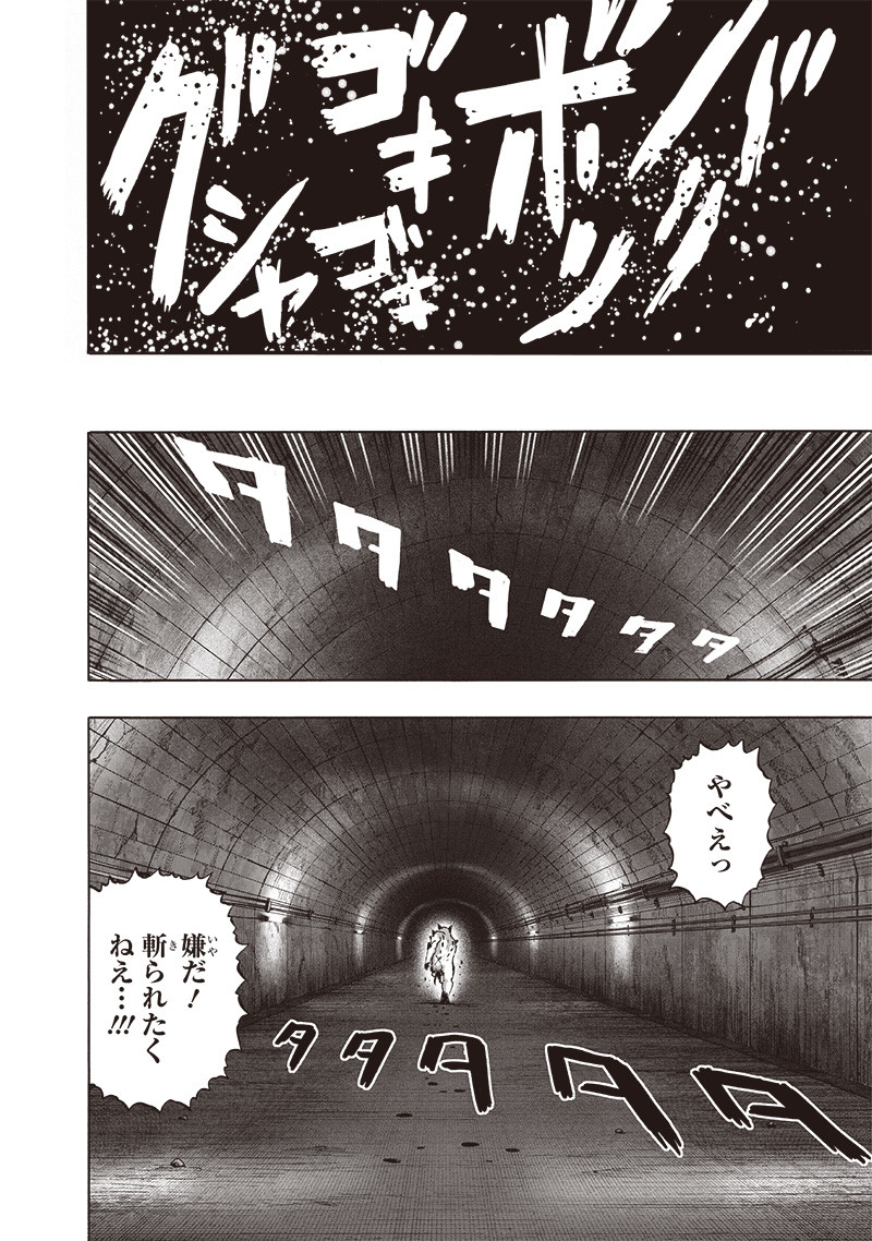 ワンパンマン - raw - 第156話 - https://jpee.aabb.to/JPEE/13477/vcsz3cfq3ue.png