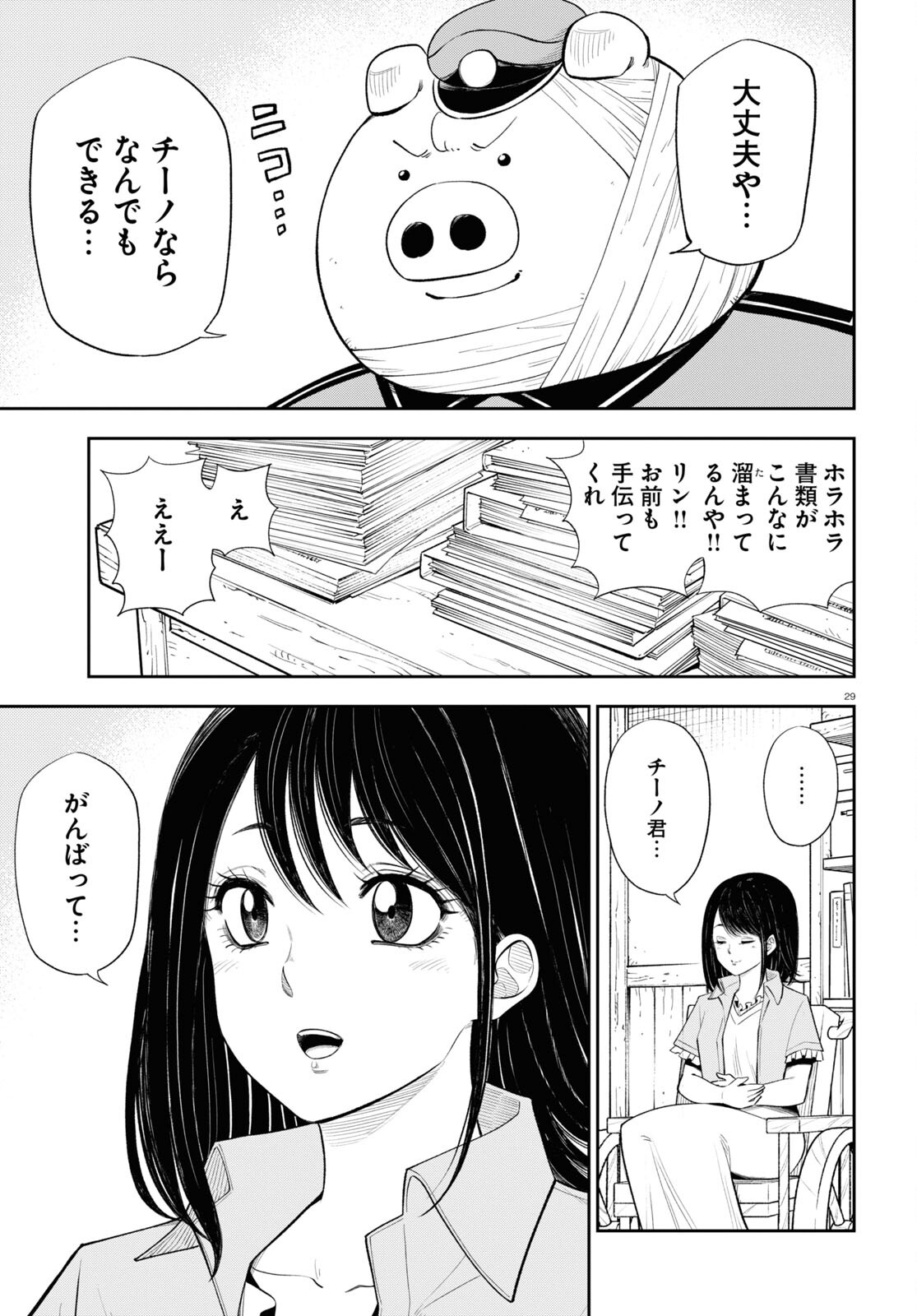 29