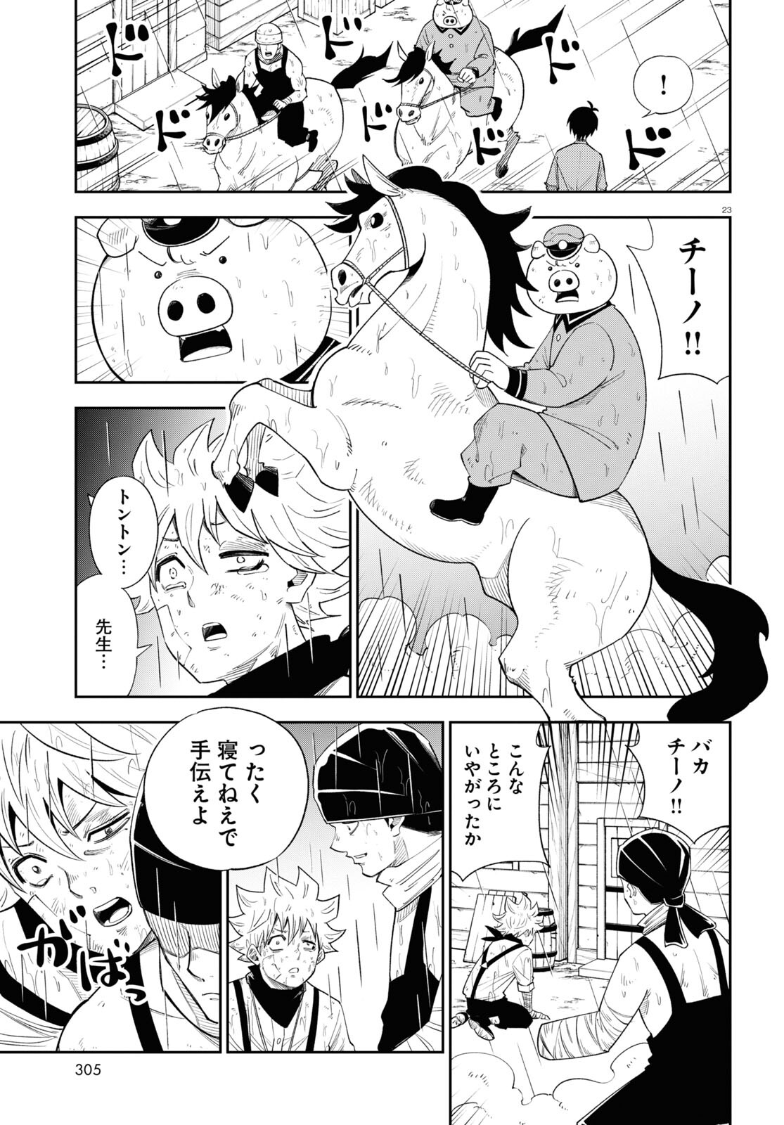 23
