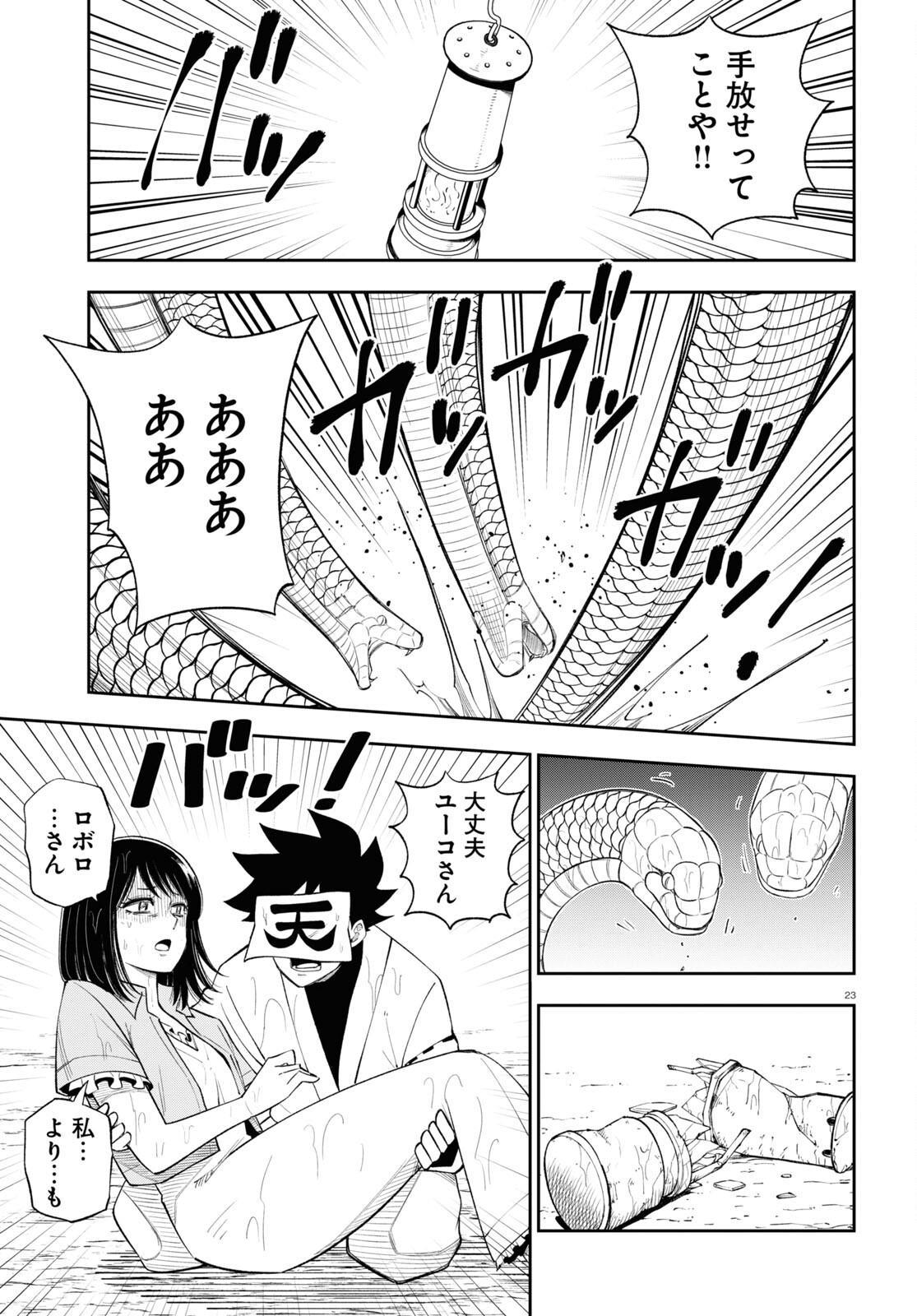 23