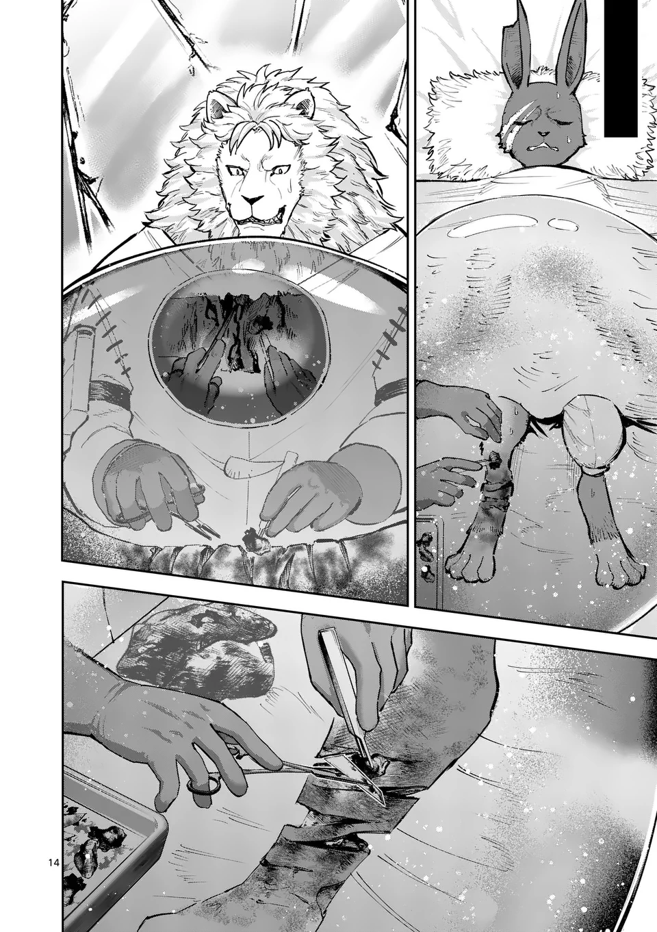 14