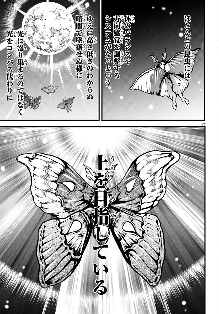 18