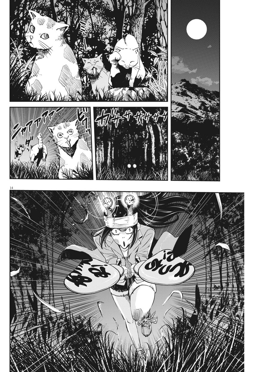 14