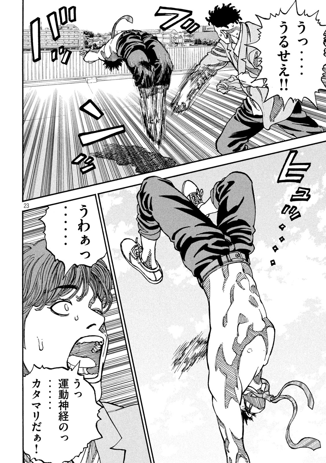 23