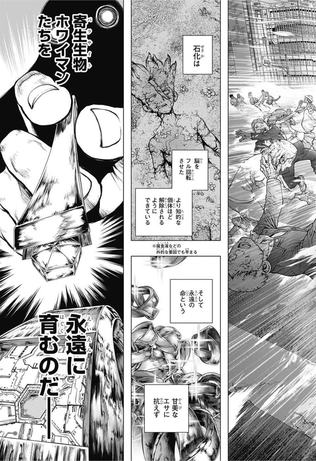 ドクターストーン - raw - 第229話 - https://jpee.aabb.to/JPEE/35583/lcyynftryy0.jpg