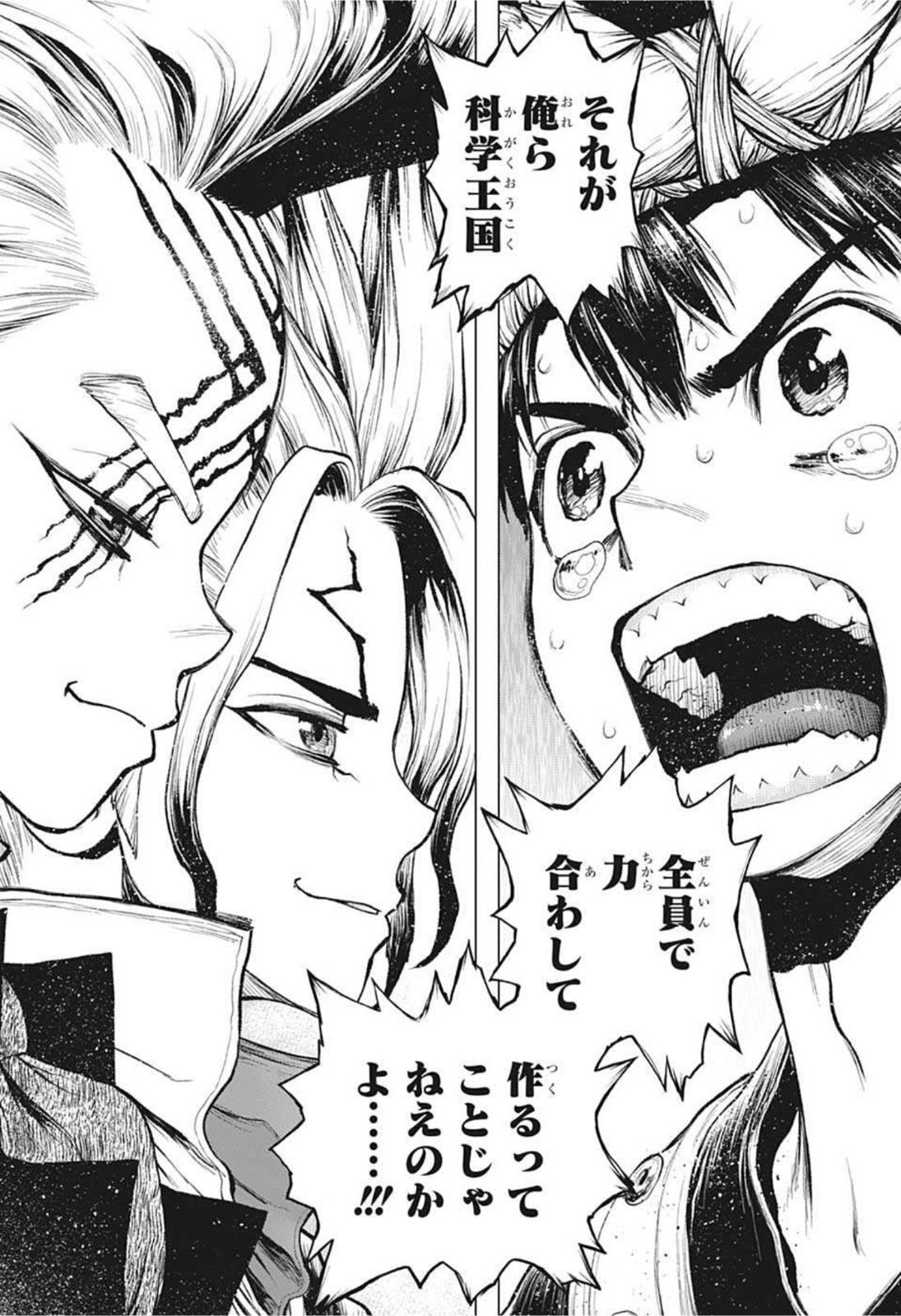 ドクターストーン - raw - 第217話 - https://jpee.aabb.to/JPEE/35588/lcx40c1bkda.jpg
