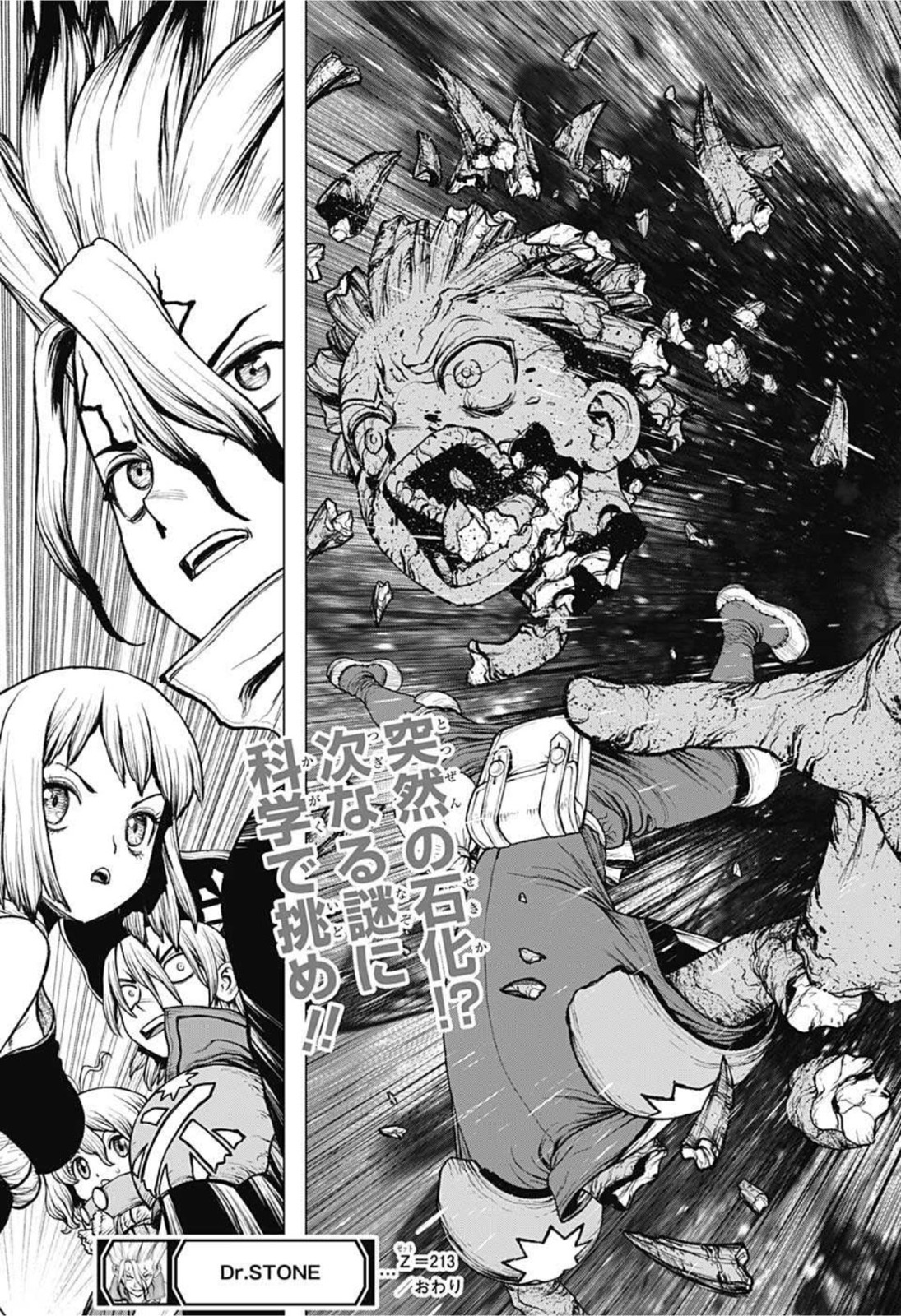 ドクターストーン - raw - 第213話 - https://jpee.aabb.to/JPEE/35617/44am4n22fdw.jpg