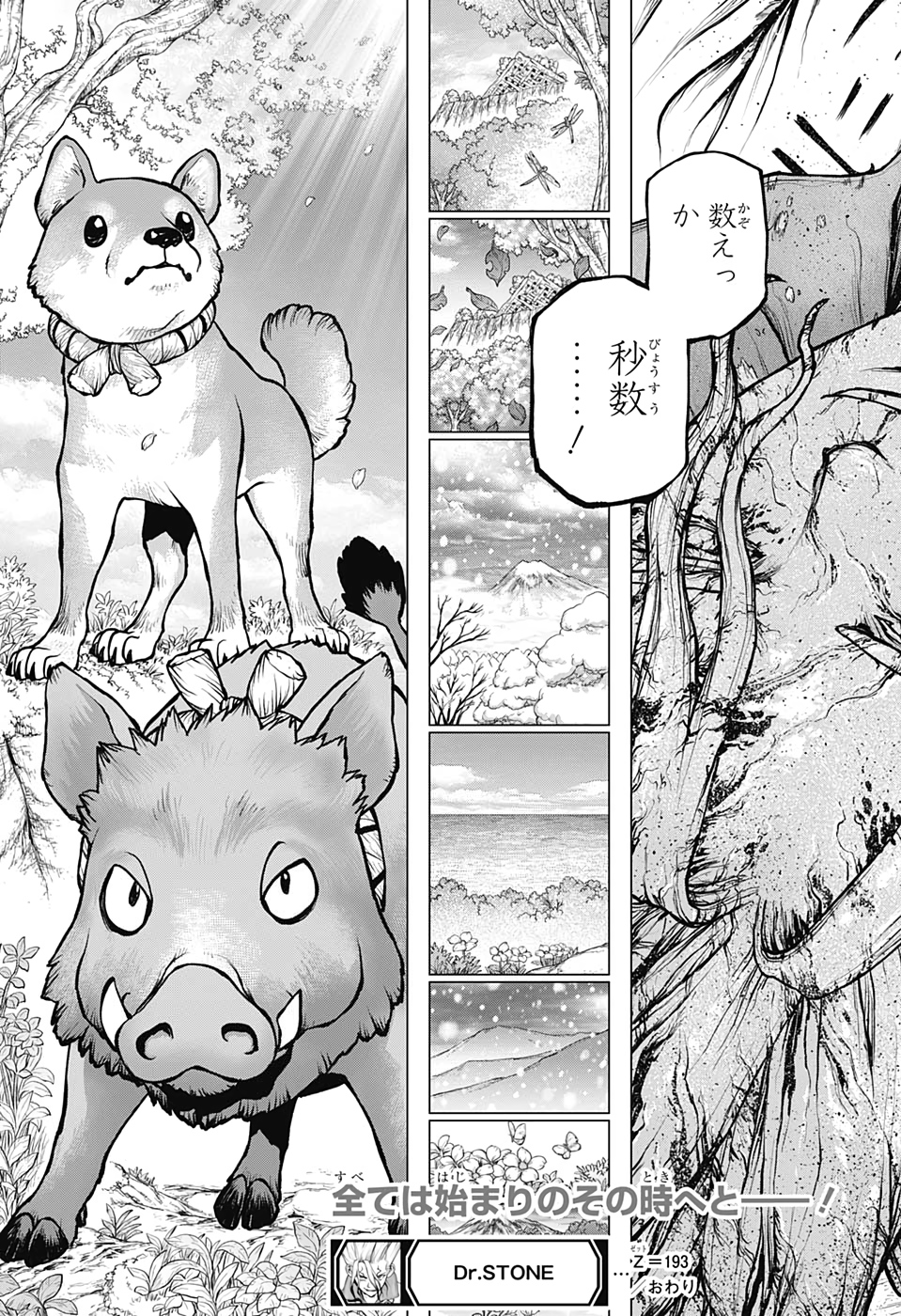 ドクターストーン - raw - 第193話 - https://jpee.aabb.to/JPEE/35631/ojzlxaiuqca.jpg