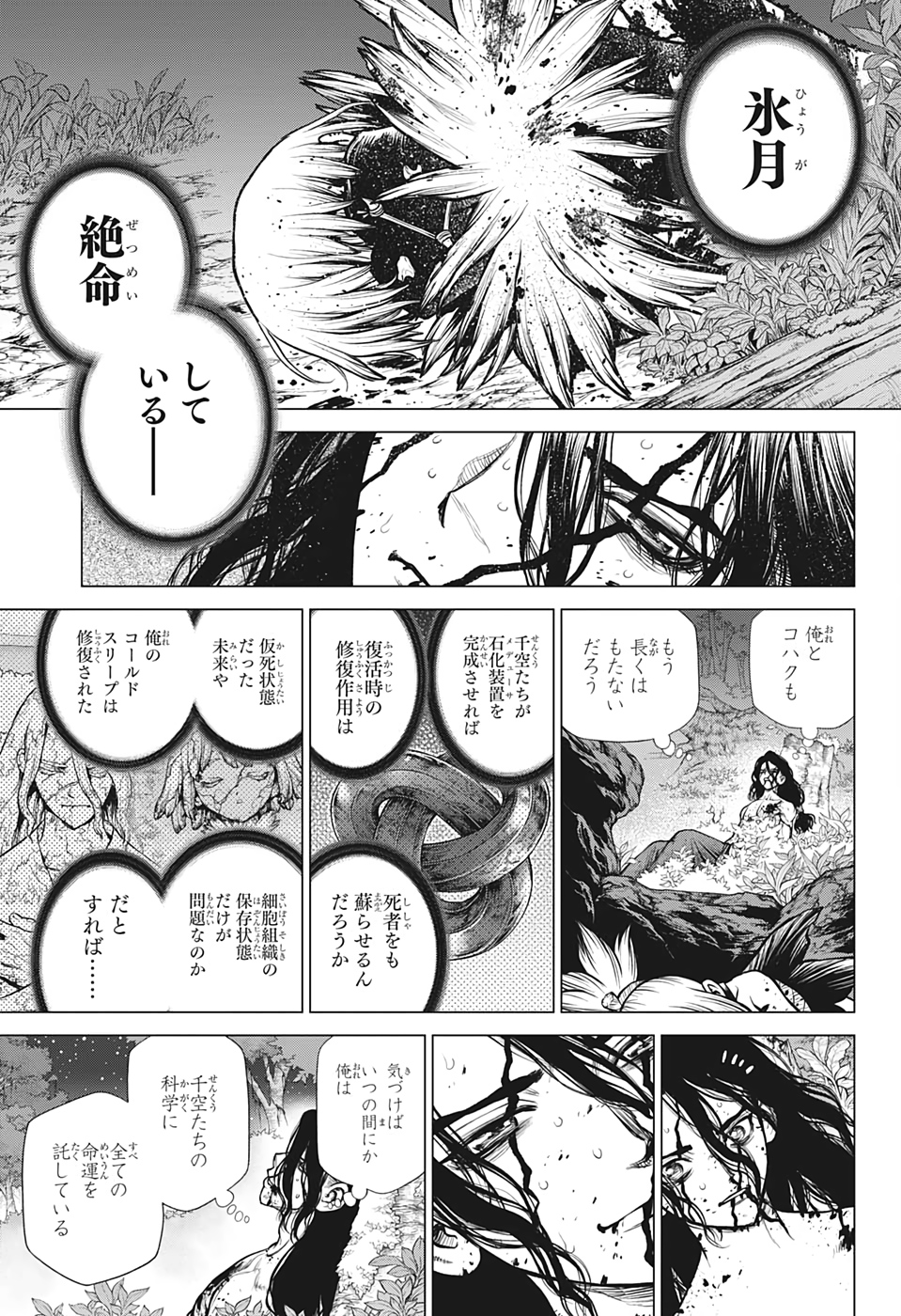 ドクターストーン - raw - 第188話 - https://jpee.aabb.to/JPEE/35638/clhe2ep4r5d.jpg