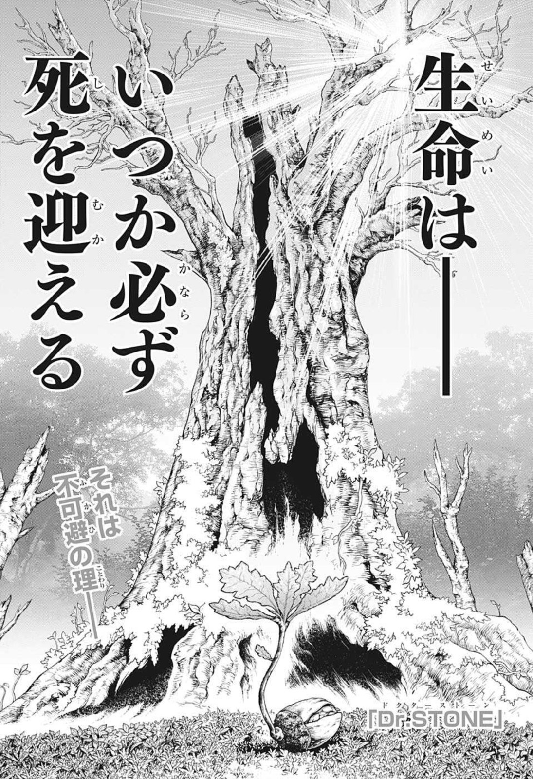 ドクターストーン - raw - 第230話 - https://jpee.aabb.to/JPEE/37659/skusbd2evl1.jpg