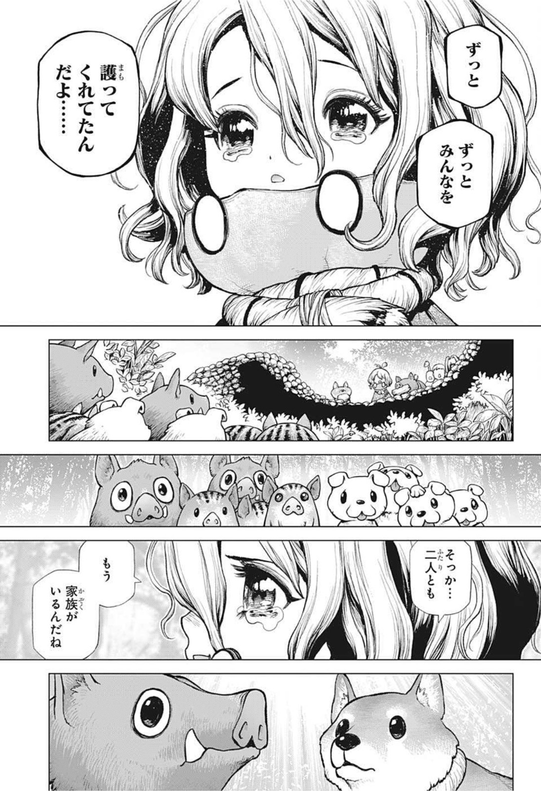 ドクターストーン - raw - 第212話 - https://jpee.aabb.to/JPEE/37671/hy5rhmcq5os.jpg