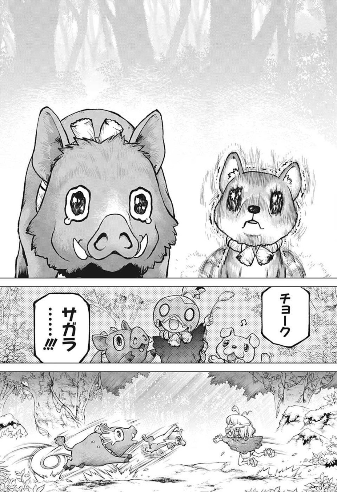 ドクターストーン - raw - 第212話 - https://jpee.aabb.to/JPEE/37671/l2d40glvikm.jpg