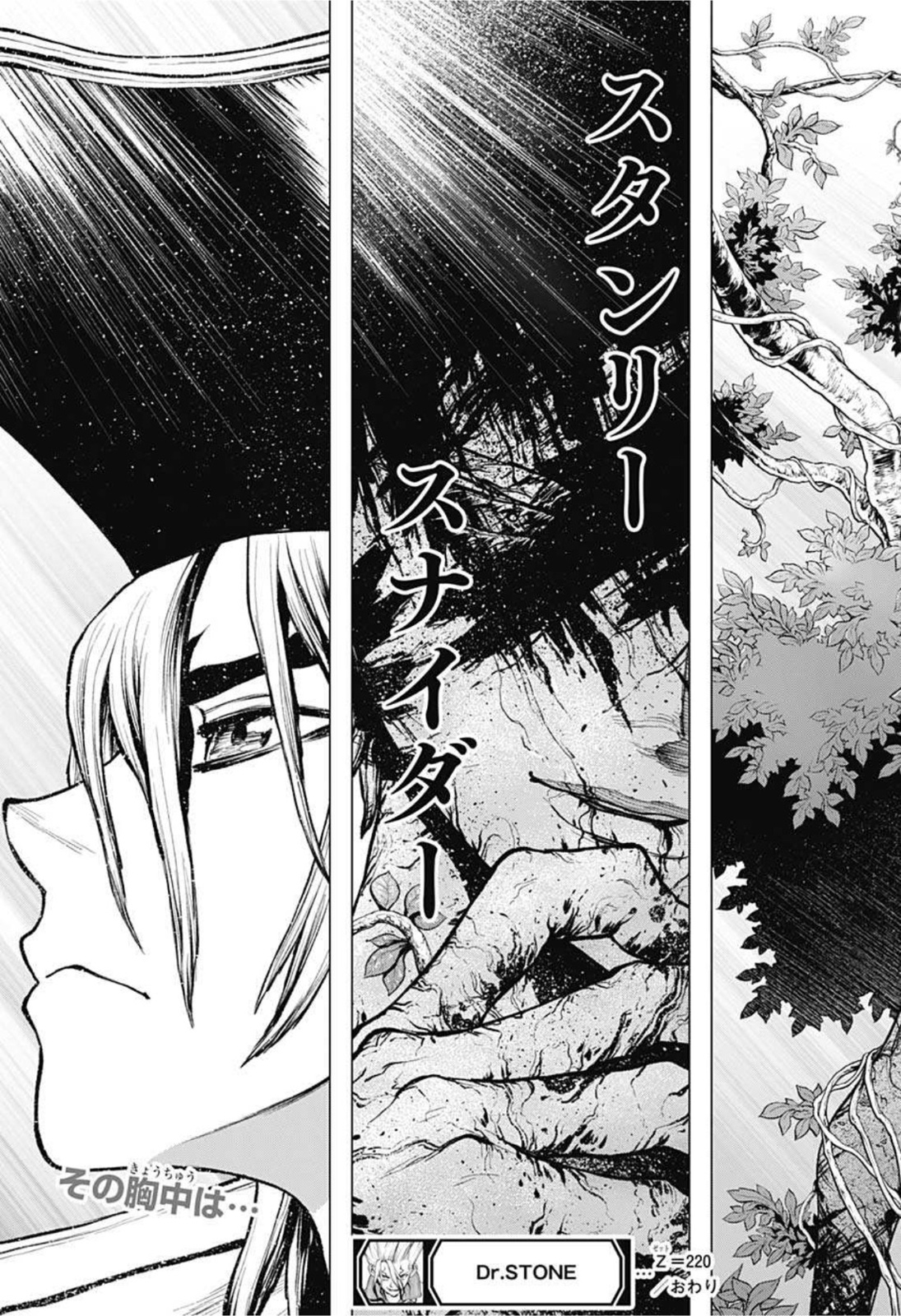 ドクターストーン - raw - 第220話 - https://jpee.aabb.to/JPEE/37672/vww2qplmqxi.jpg