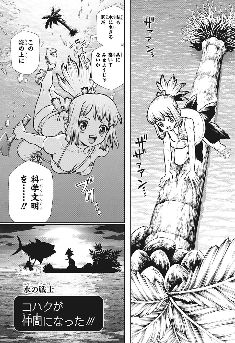 ドクターストーン - raw - 第232.5話 - https://jpee.aabb.to/JPEE/37709/p5spsrr2csh.jpg