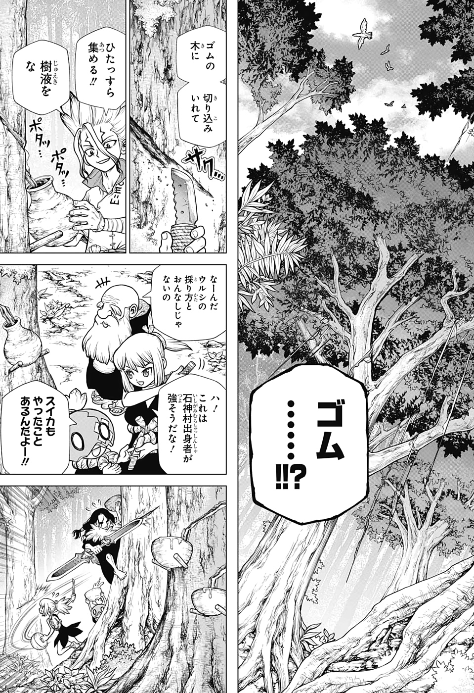 ドクターストーン - raw - 第174話 - https://jpee.aabb.to/JPEE/37828/nw5ipxtwsu5.jpg