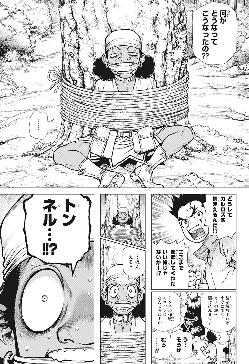 ドクターストーン - raw - 第162話 - https://jpee.aabb.to/JPEE/37846/fdzviwn2jzf.jpg
