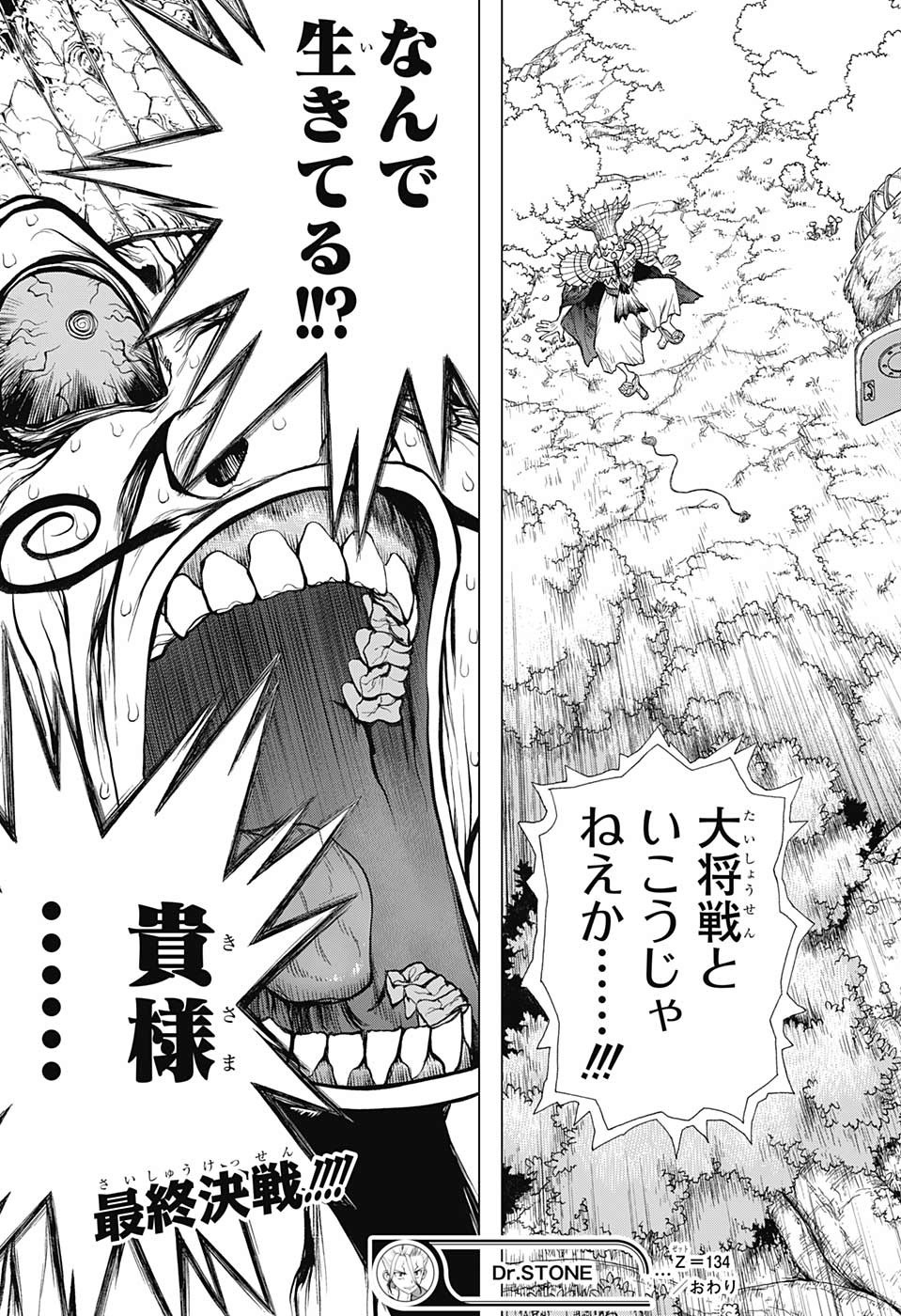 ドクターストーン - raw - 第134話 - https://jpee.aabb.to/JPEE/37965/ifvzq545ldy.jpg