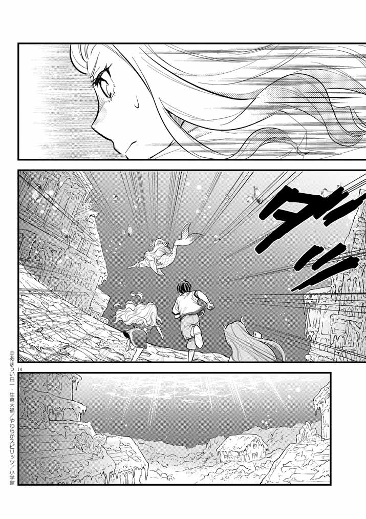 14
