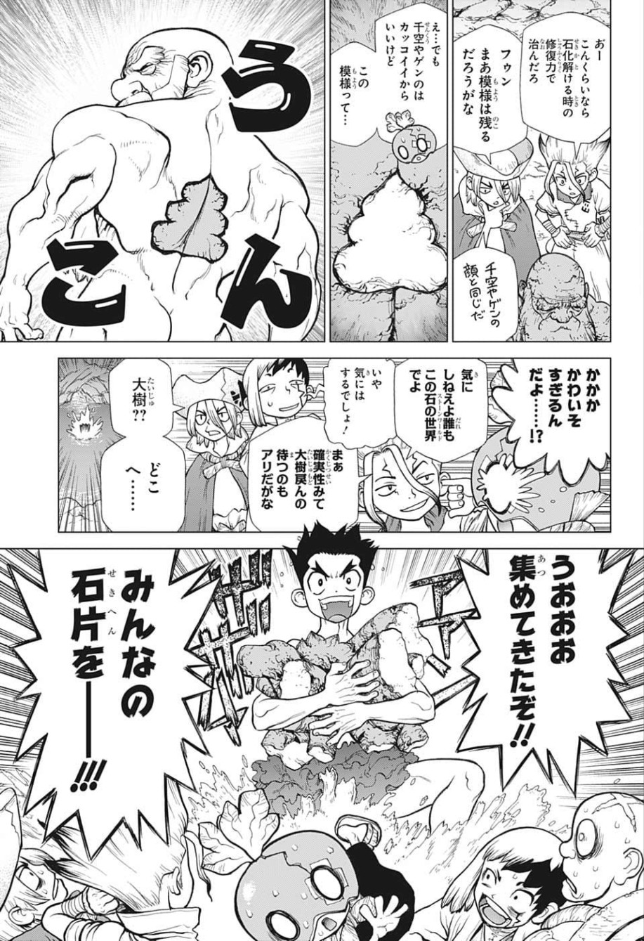 ドクターストーン - raw - 第119話 - https://jpee.aabb.to/JPEE/38062/0rt3u0wgdsn.jpg