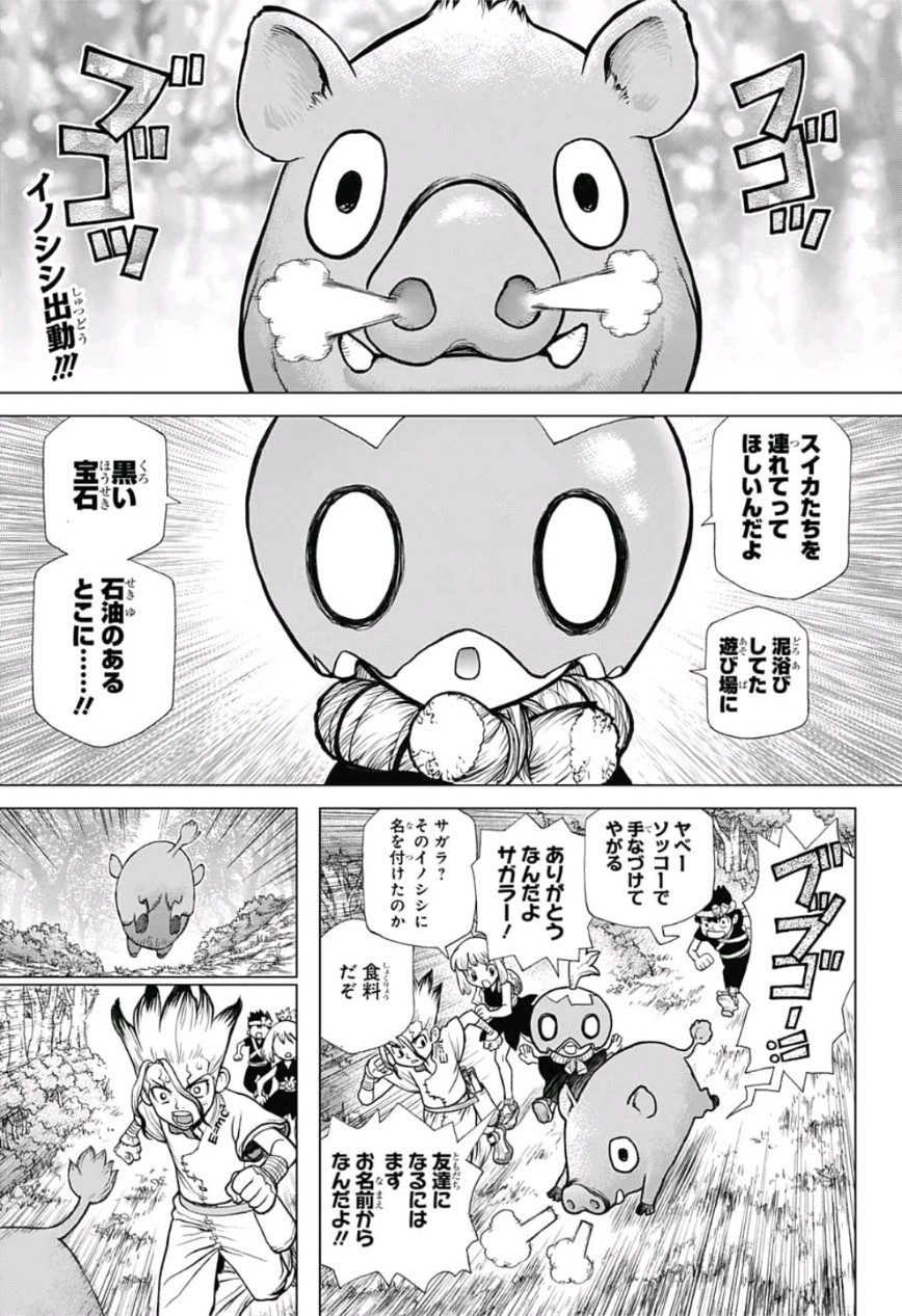 ドクターストーン - raw - 第95話 - https://jpee.aabb.to/JPEE/38143/eeshe1ixc40.jpg