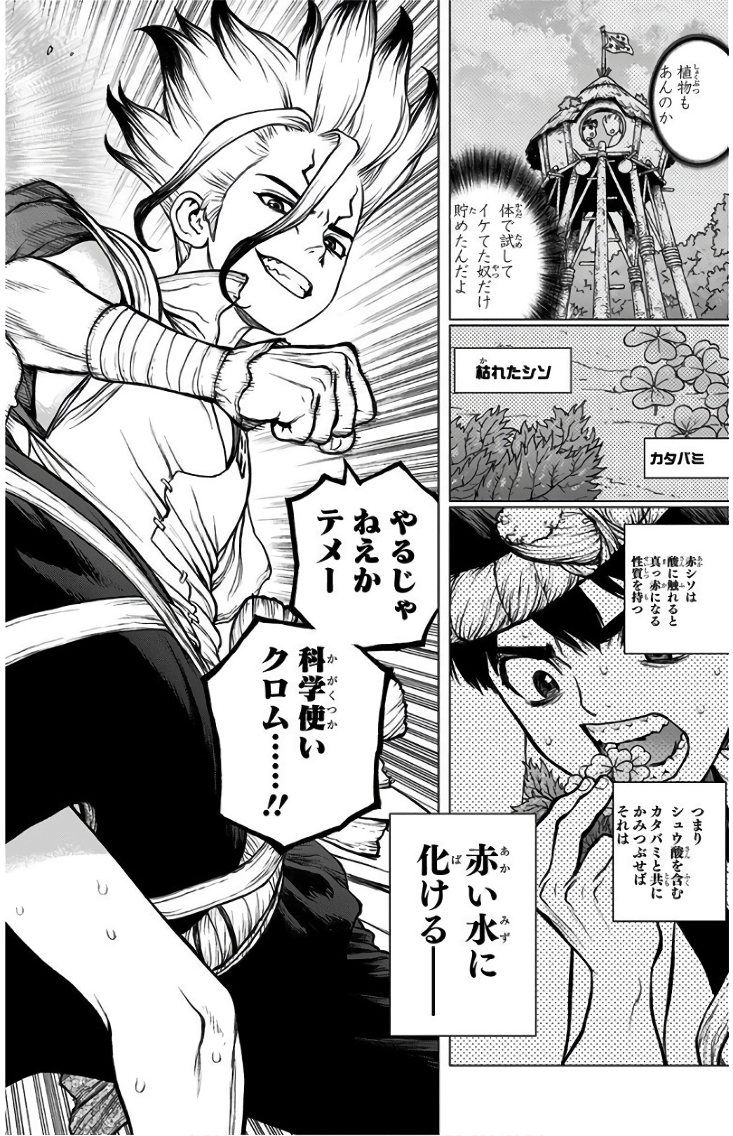 ドクターストーン - raw - 第72話 - https://jpee.aabb.to/JPEE/38190/32rtveiq0pa.jpg