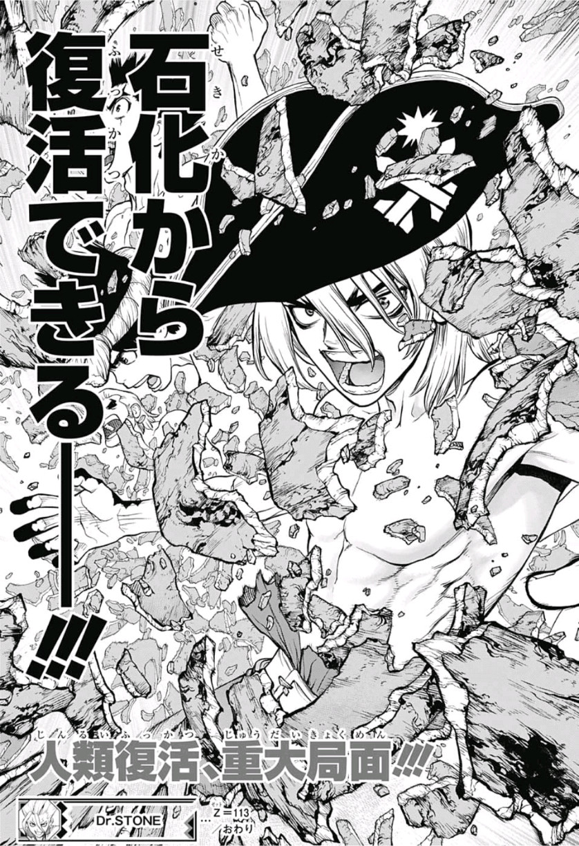 ドクターストーン - raw - 第113話 - https://jpee.aabb.to/JPEE/41322/50qqngiocss.jpg