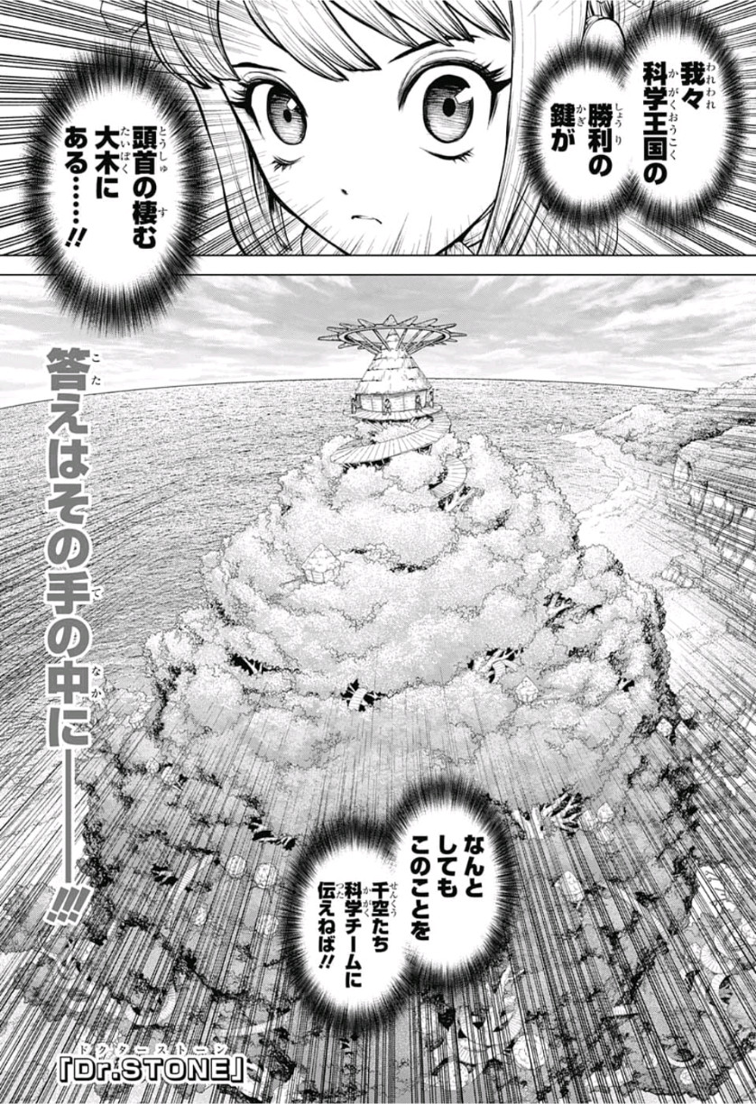 ドクターストーン - raw - 第113話 - https://jpee.aabb.to/JPEE/41322/vmtulldlfnl.jpg