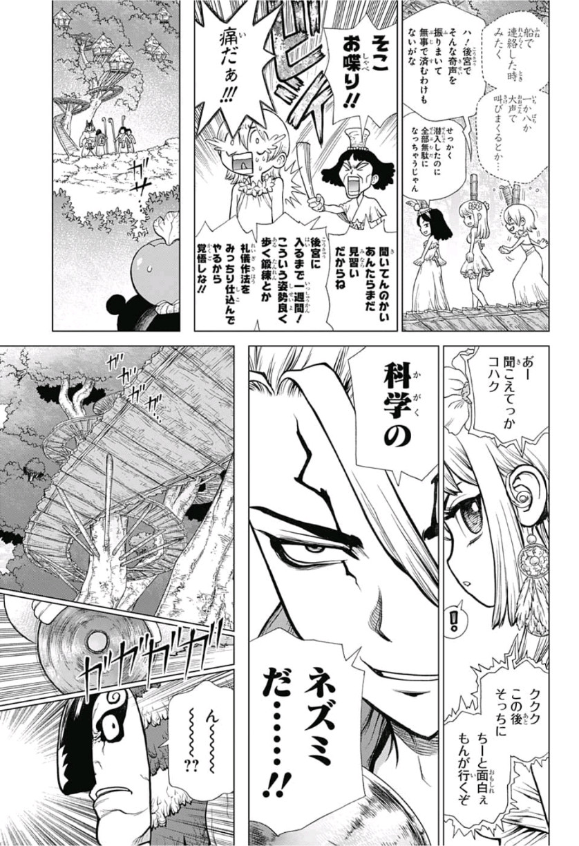 ドクターストーン - raw - 第113話 - https://jpee.aabb.to/JPEE/41322/zr44cxpahj2.jpg