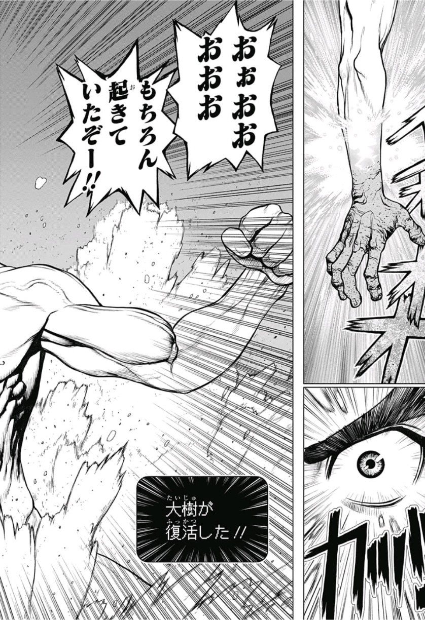 ドクターストーン - raw - 第118話 - https://jpee.aabb.to/JPEE/41331/g0sfdvfwd4h.jpg