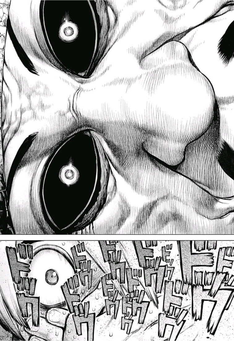 ドクターストーン - raw - 第108話 - https://jpee.aabb.to/JPEE/41341/3d2zhhz0sns.jpg