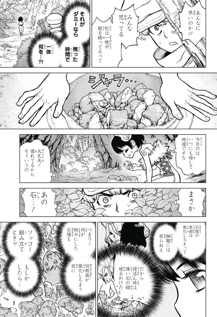 ドクターストーン - raw - 第73話 - https://jpee.aabb.to/JPEE/41415/pelfgwvytvy.jpg