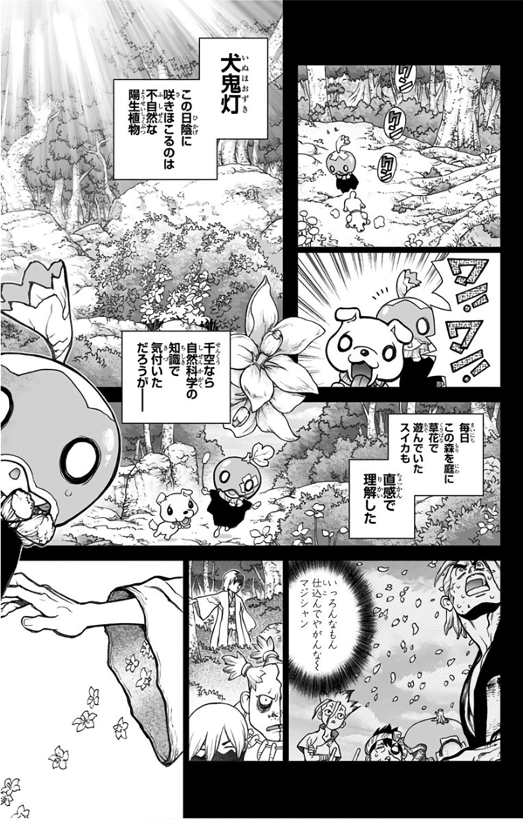 ドクターストーン - raw - 第48話 - https://jpee.aabb.to/JPEE/41524/sqsm3cip0tm.jpg