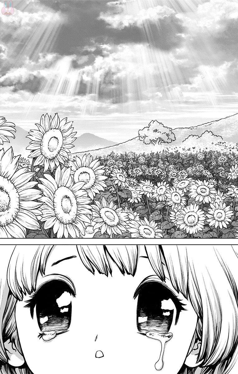 ドクターストーン - raw - 第28話 - https://jpee.aabb.to/JPEE/41576/45jnyzgehzw.jpg