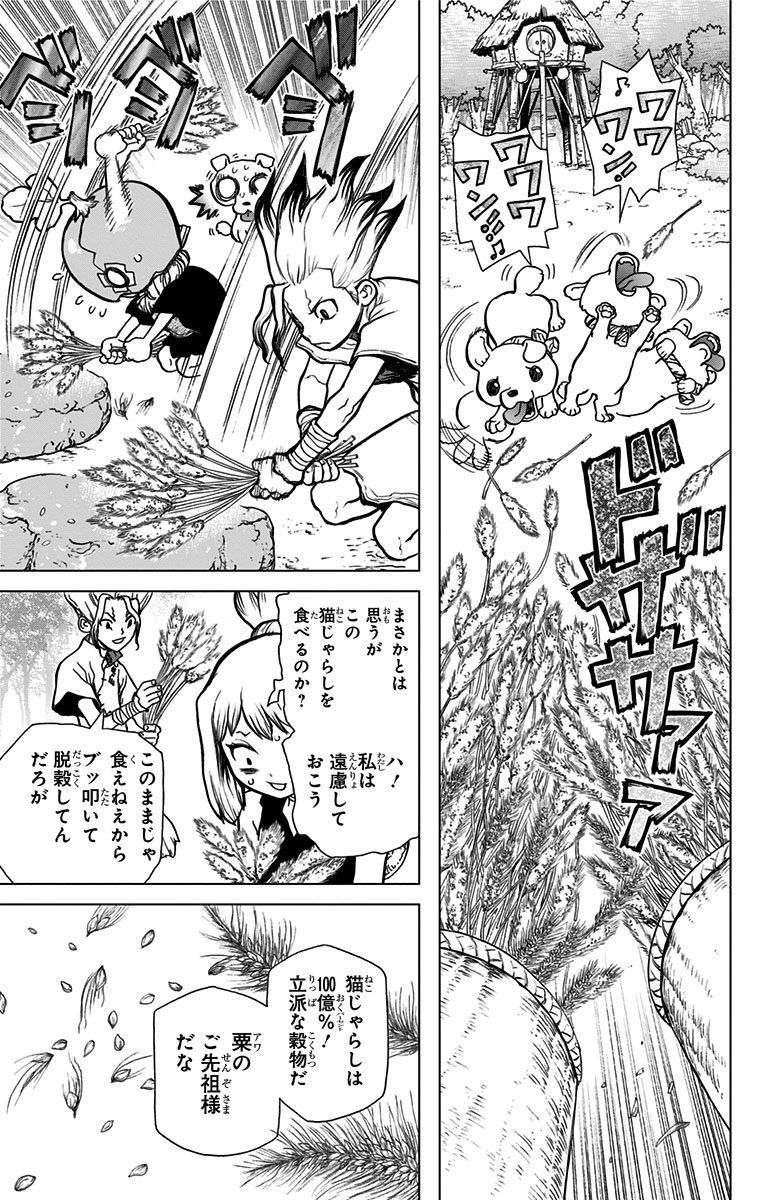ドクターストーン - raw - 第22話 - https://jpee.aabb.to/JPEE/41584/torg2rlfhtb.jpg