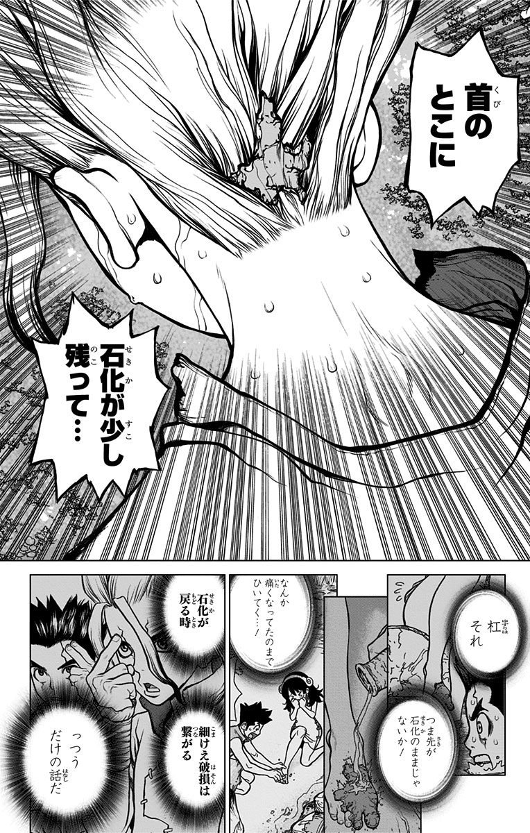 ドクターストーン - raw - 第12話 - https://jpee.aabb.to/JPEE/41585/ntx0k3k4wtz.jpg