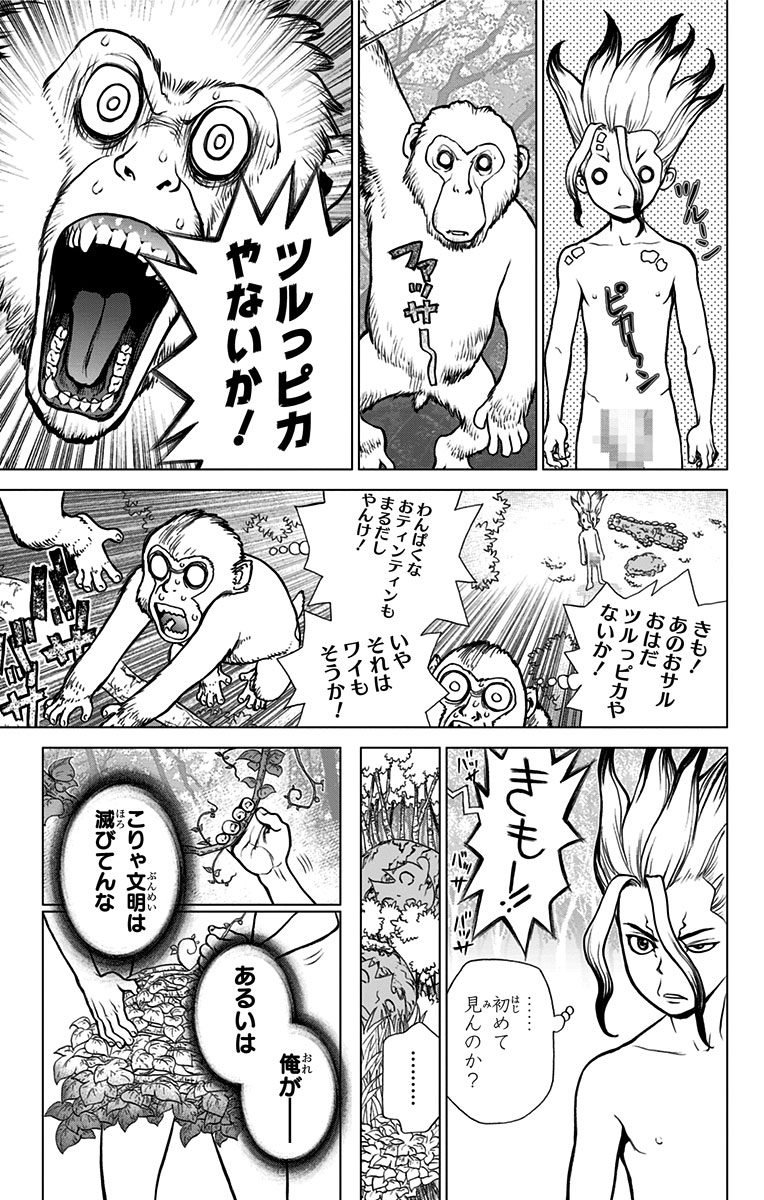ドクターストーン - raw - 第13話 - https://jpee.aabb.to/JPEE/41611/cbsnqwfrykj.jpg