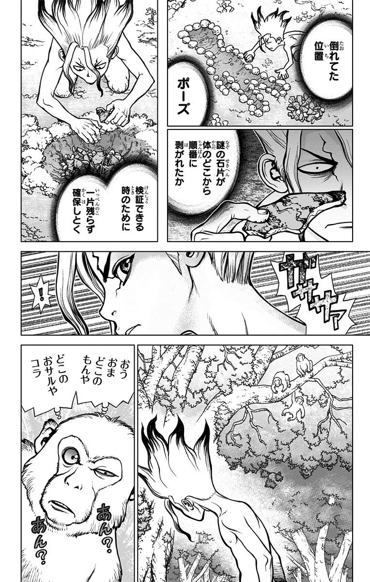 ドクターストーン - raw - 第13話 - https://jpee.aabb.to/JPEE/41611/tjo3rrg2fks.jpg