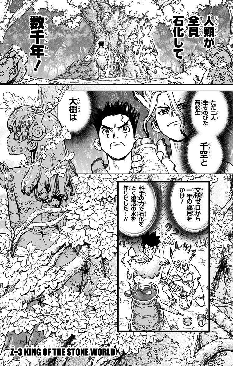 ドクターストーン - raw - 第3話 - https://jpee.aabb.to/JPEE/41627/d531gqk0kur.jpg