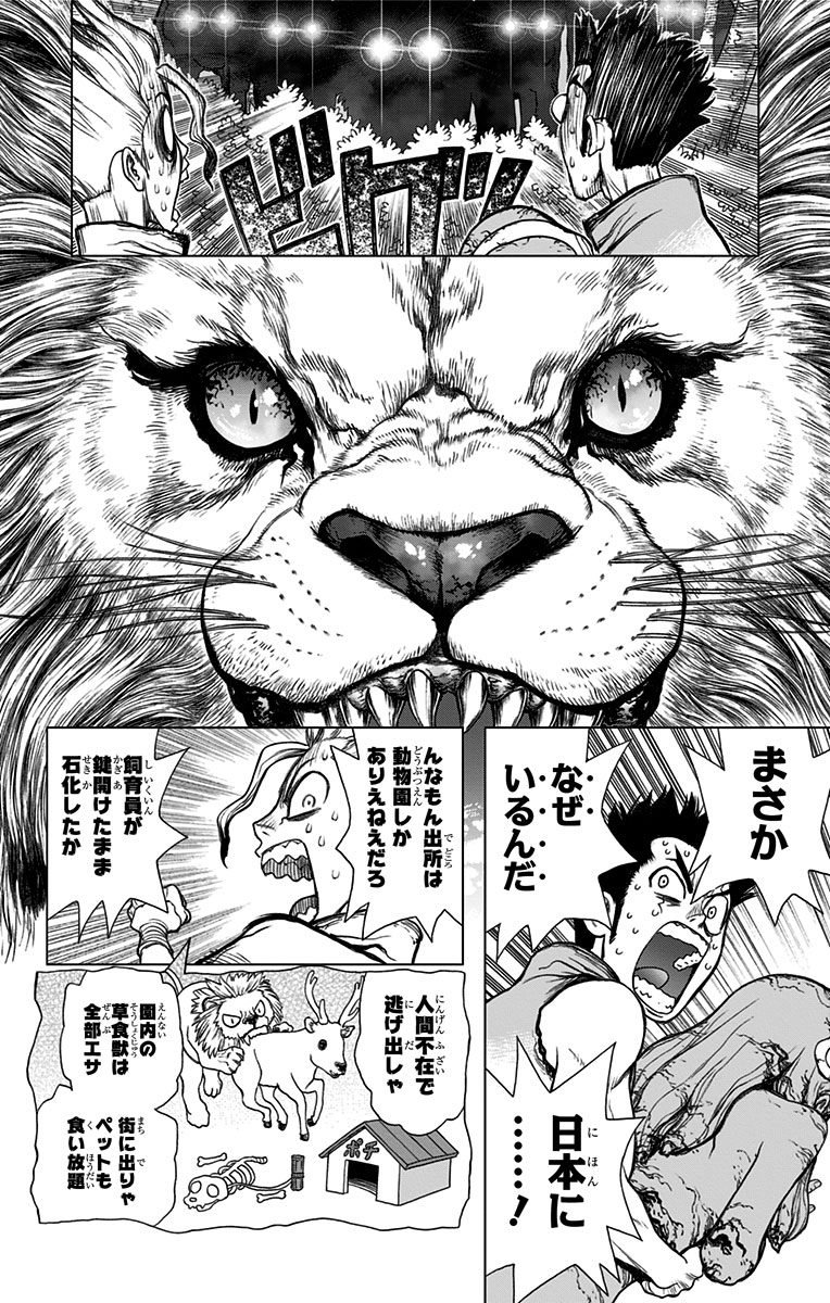 ドクターストーン - raw - 第3話 - https://jpee.aabb.to/JPEE/41627/kuunaj54juo.jpg