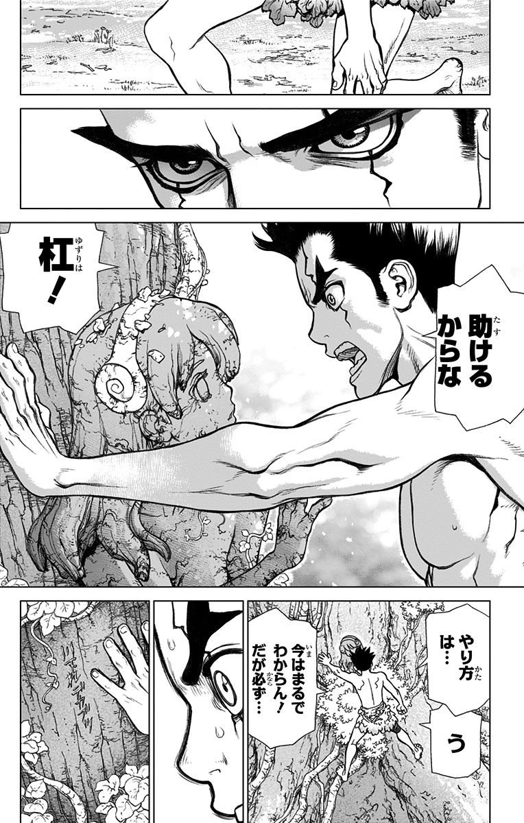 ドクターストーン - raw - 第1話 - https://jpee.aabb.to/JPEE/41628/sq34cjkcbsi.jpg