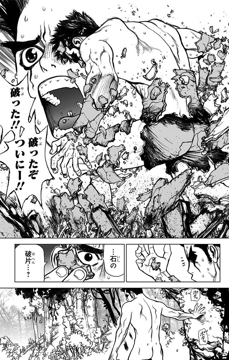 ドクターストーン - raw - 第1話 - https://jpee.aabb.to/JPEE/41628/tix3j2evsll.jpg