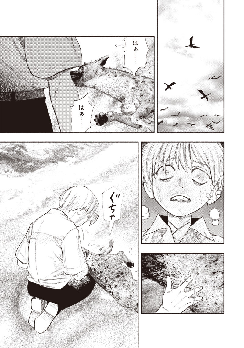 23