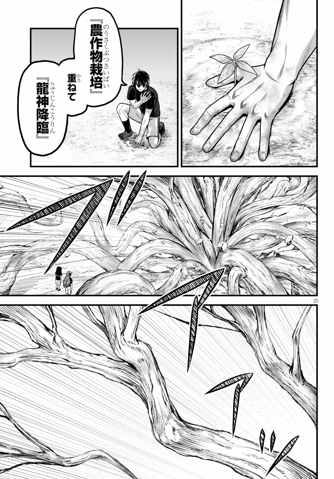 25